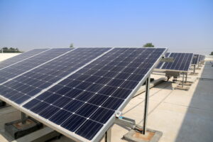 LV PV installation Aromáticas Zalabí
