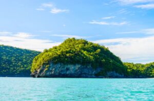 VPP4Islands